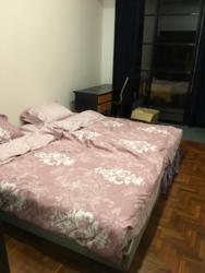 Swanage Road (D15), Terrace #142388292